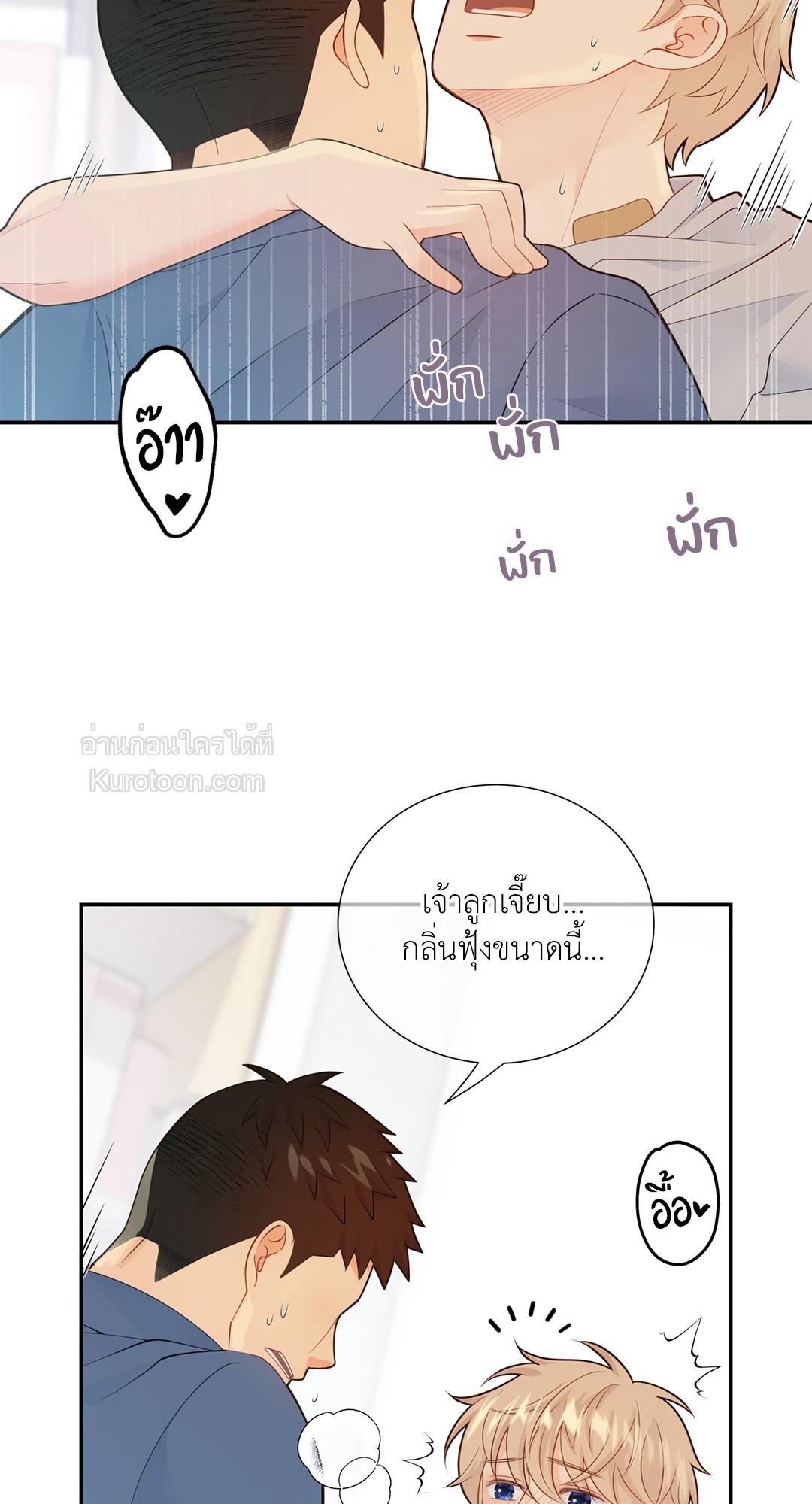 หน้า 29