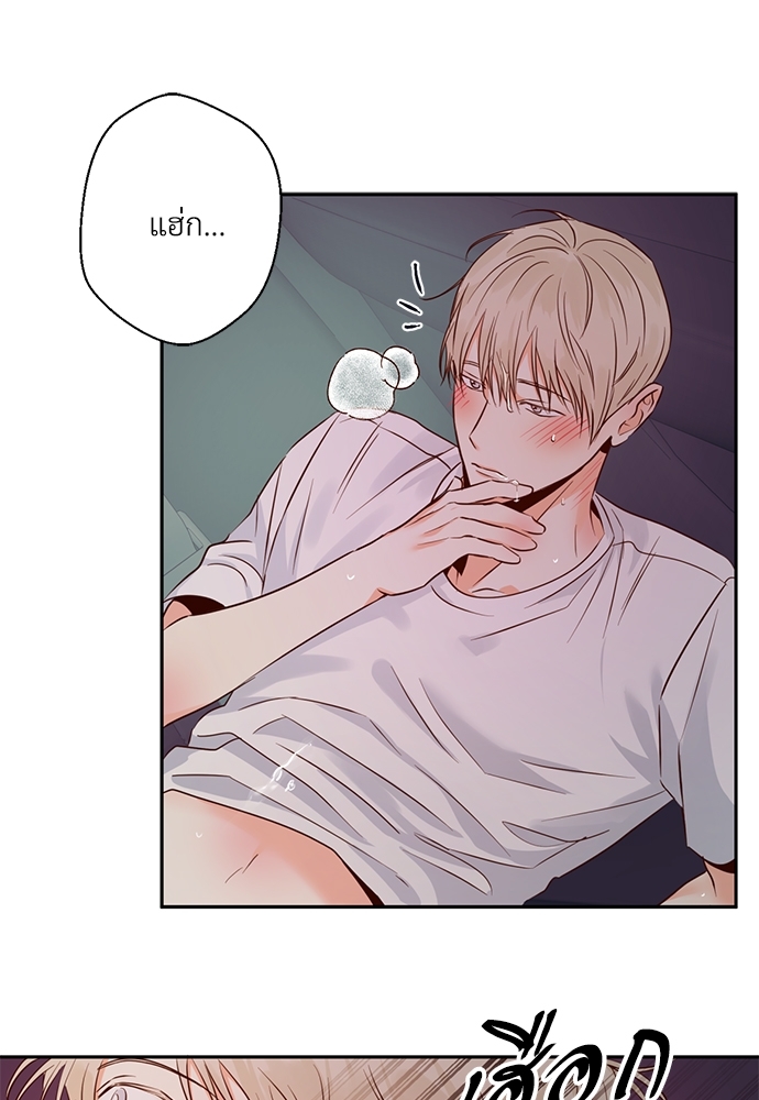 หน้า 43