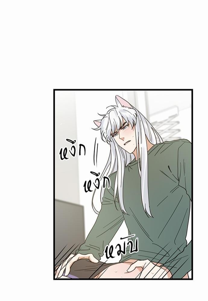 หน้า 44