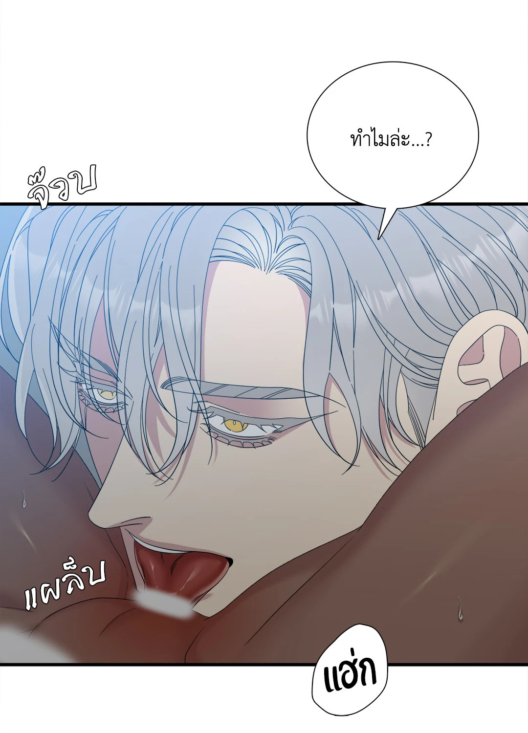 หน้า 52