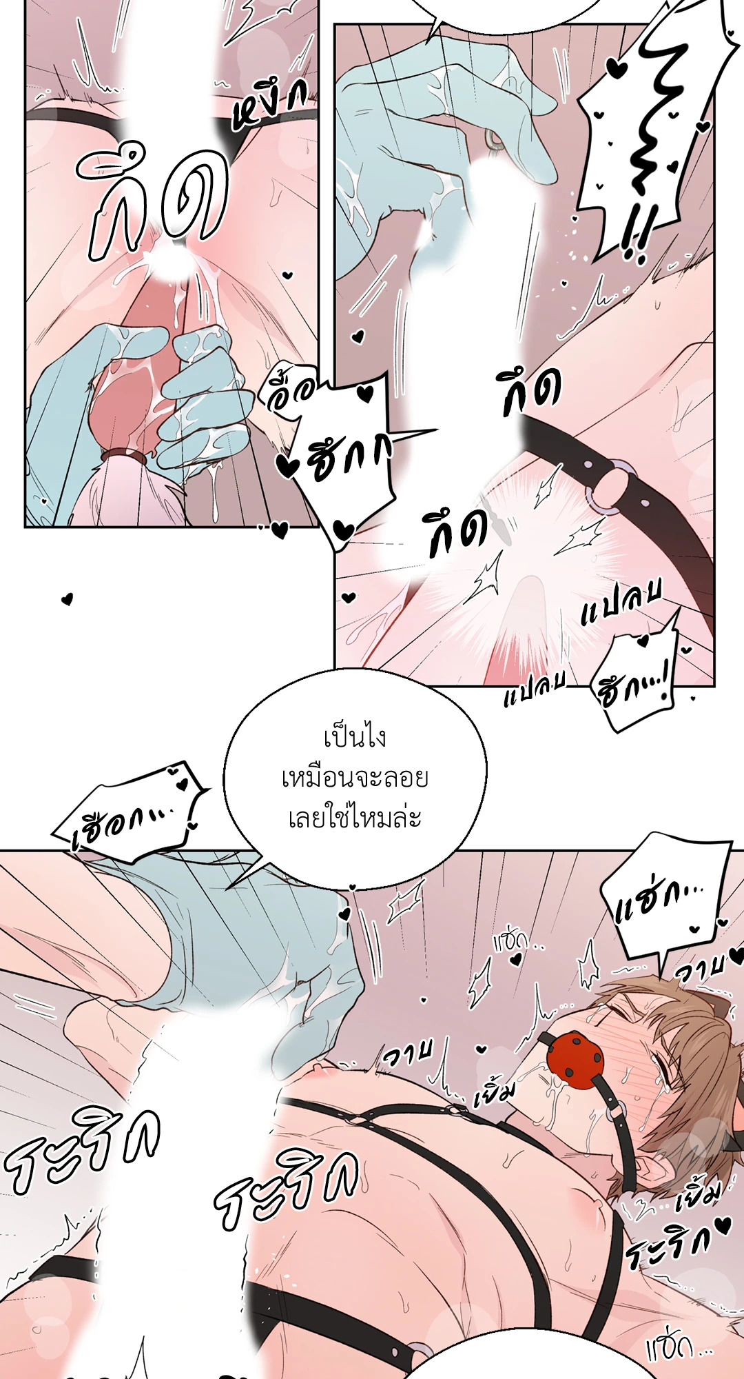 หน้า 17