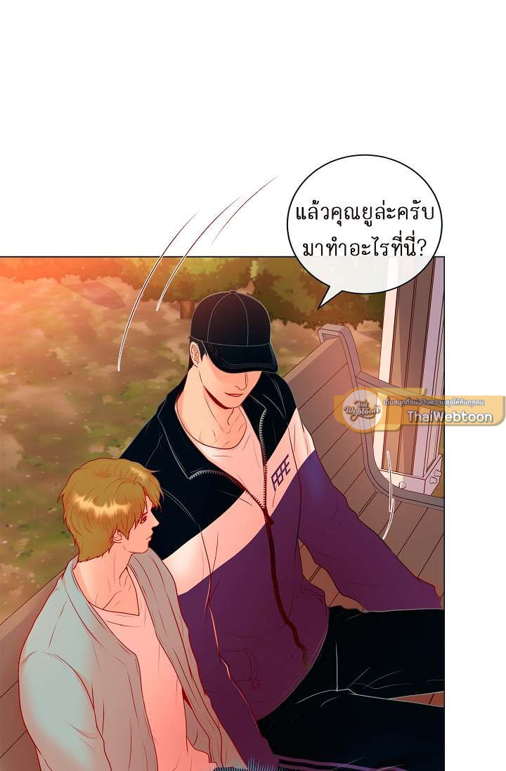 หน้า 41