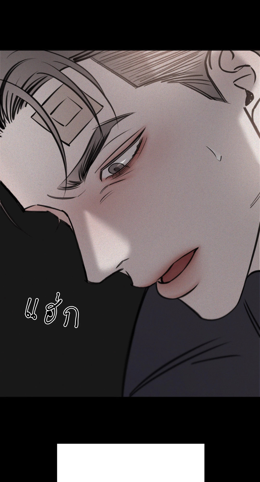 หน้า 42