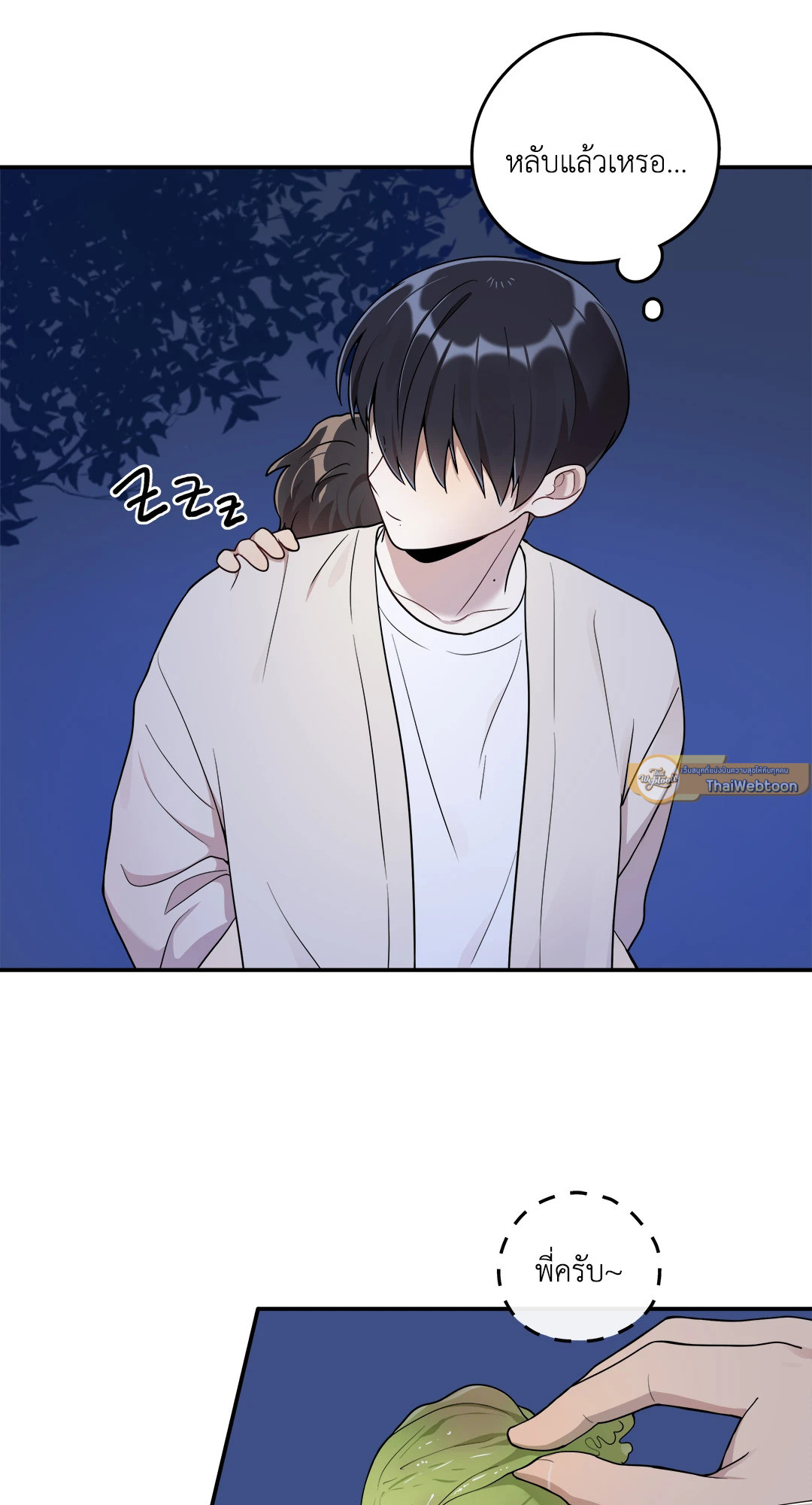 หน้า 30