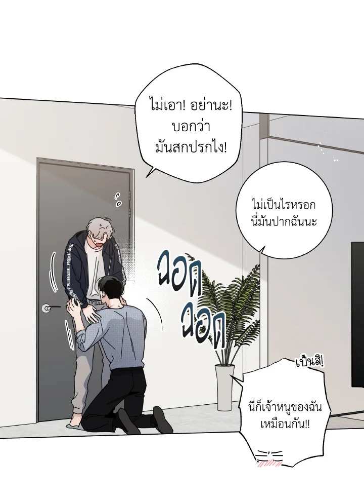 หน้า 29