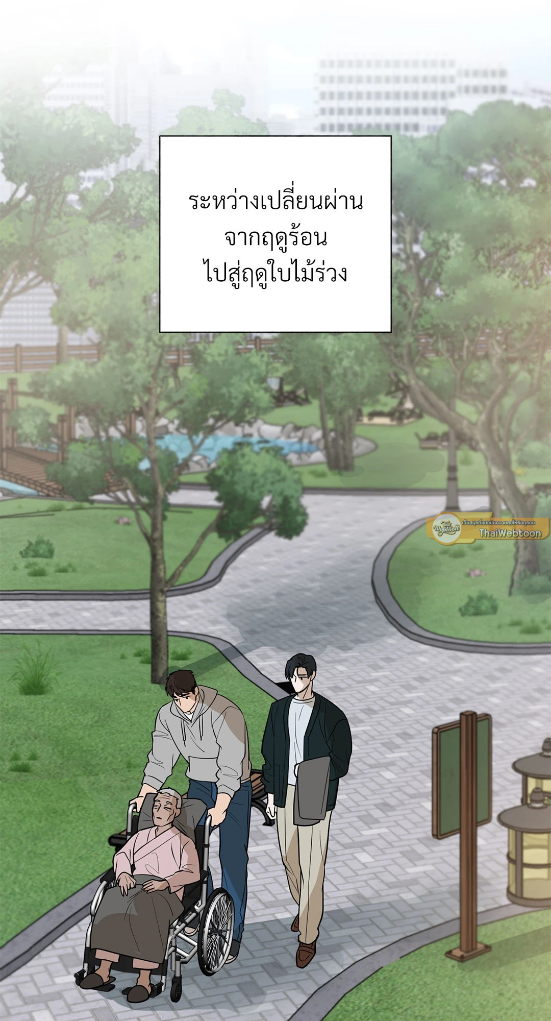 หน้า 41
