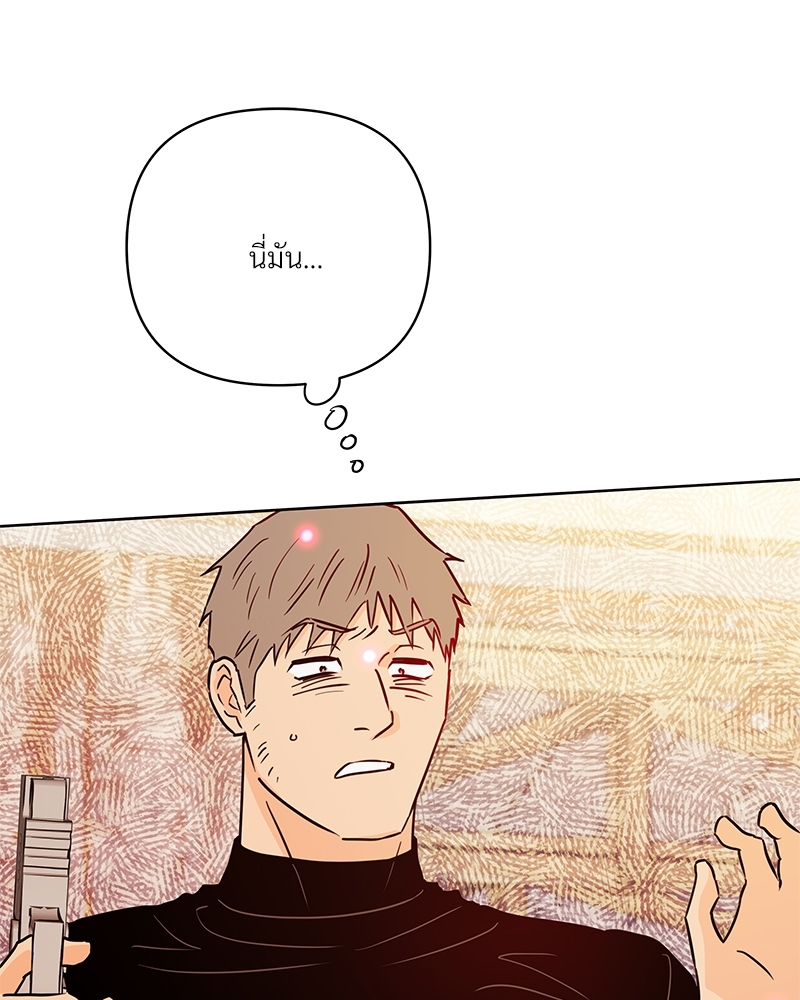 หน้า 117
