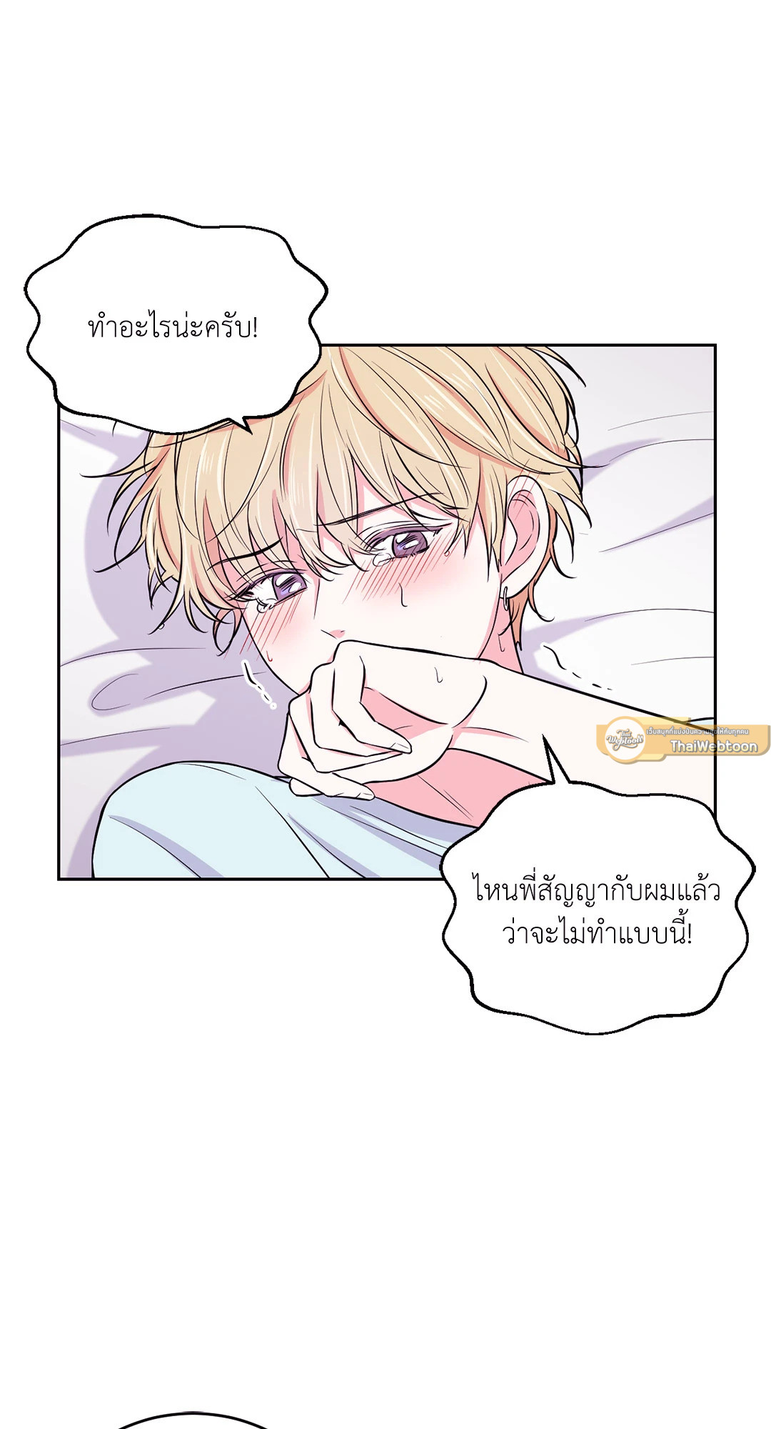หน้า 43
