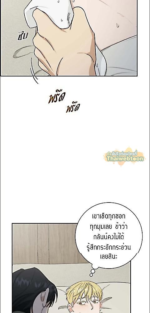 หน้า 43