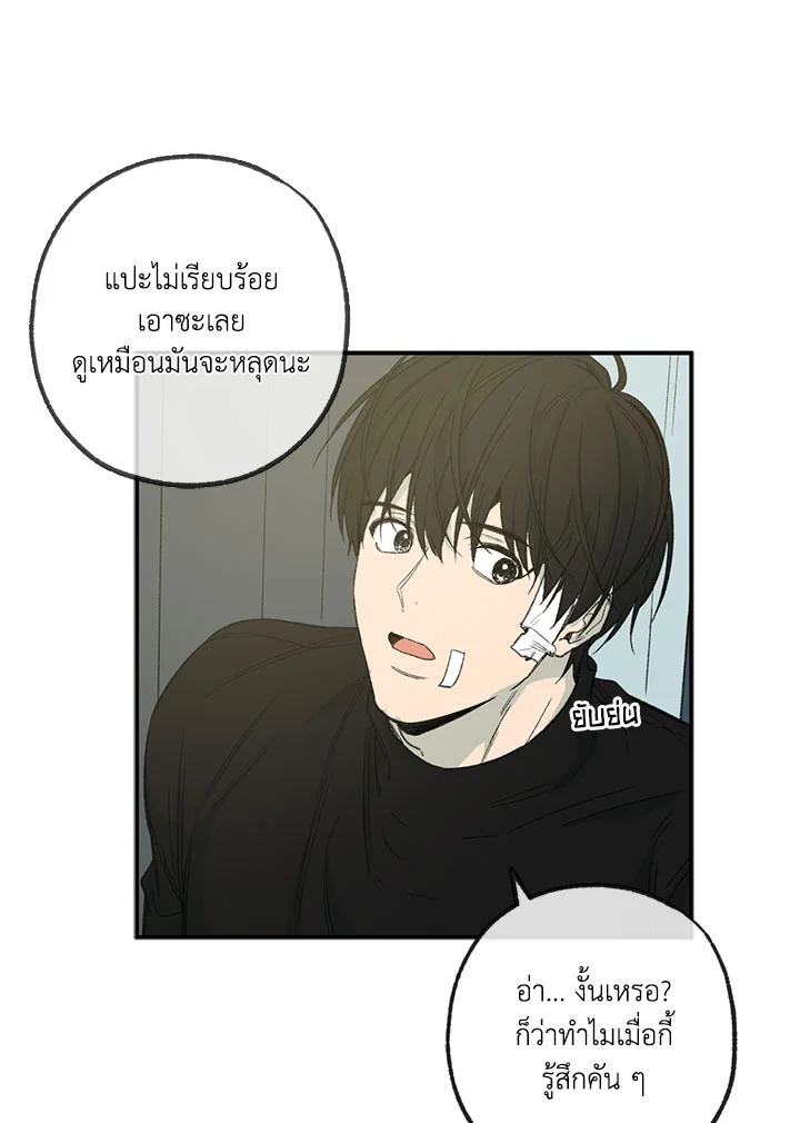 หน้า 51