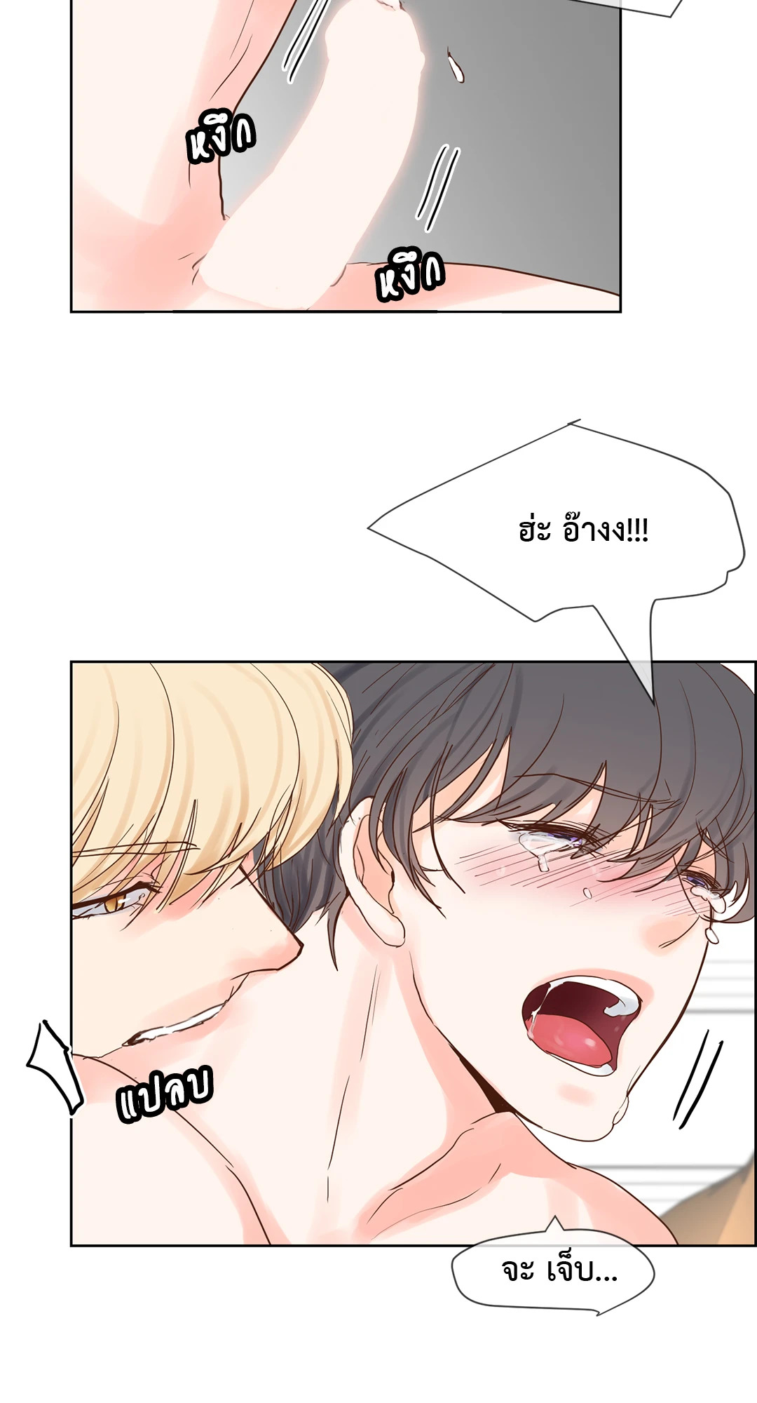 หน้า 42