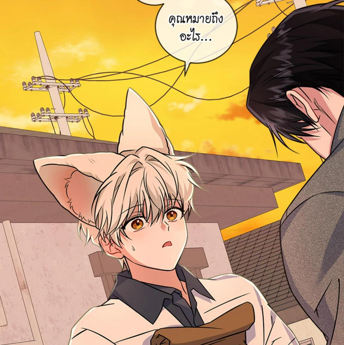 ดื่มรักรสฟลินน์ | Flynn’s Fox Drink ตอนที่ 26 - รูปที่ 2