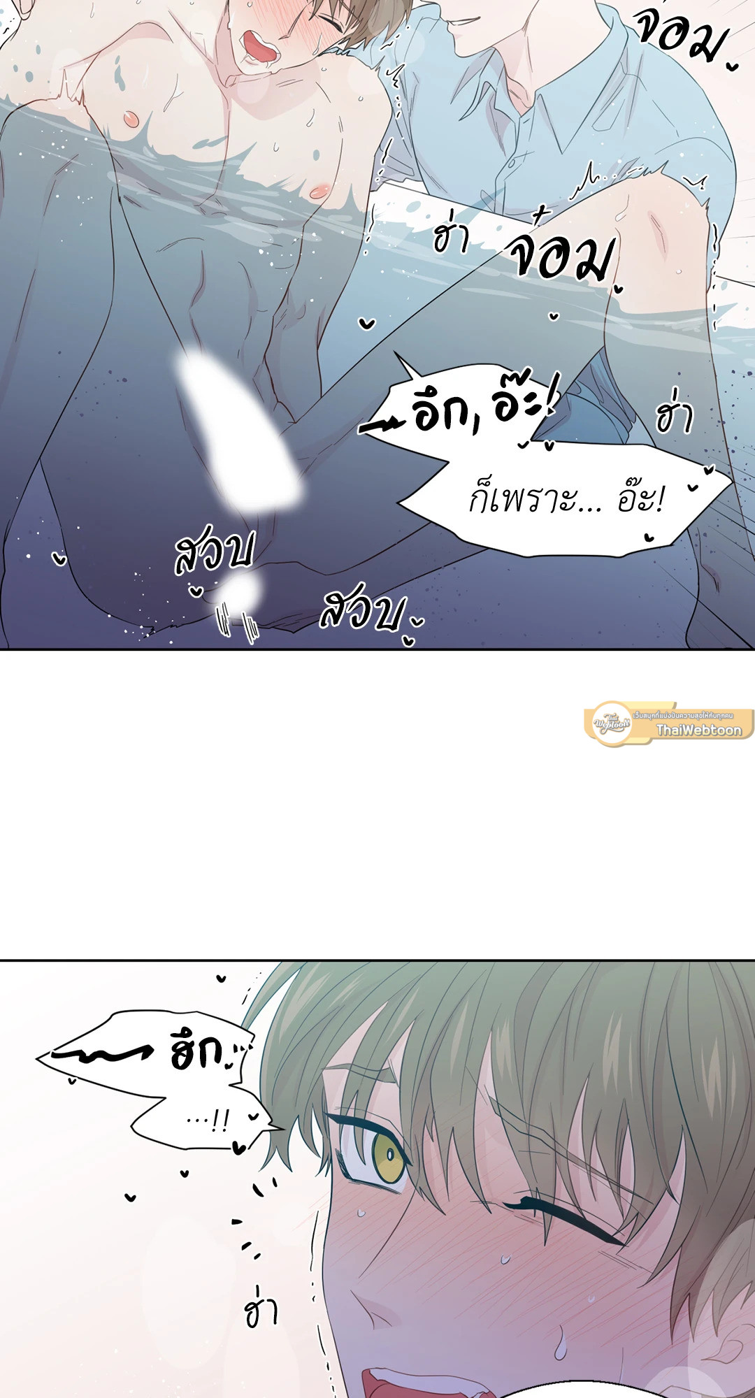 หน้า 29