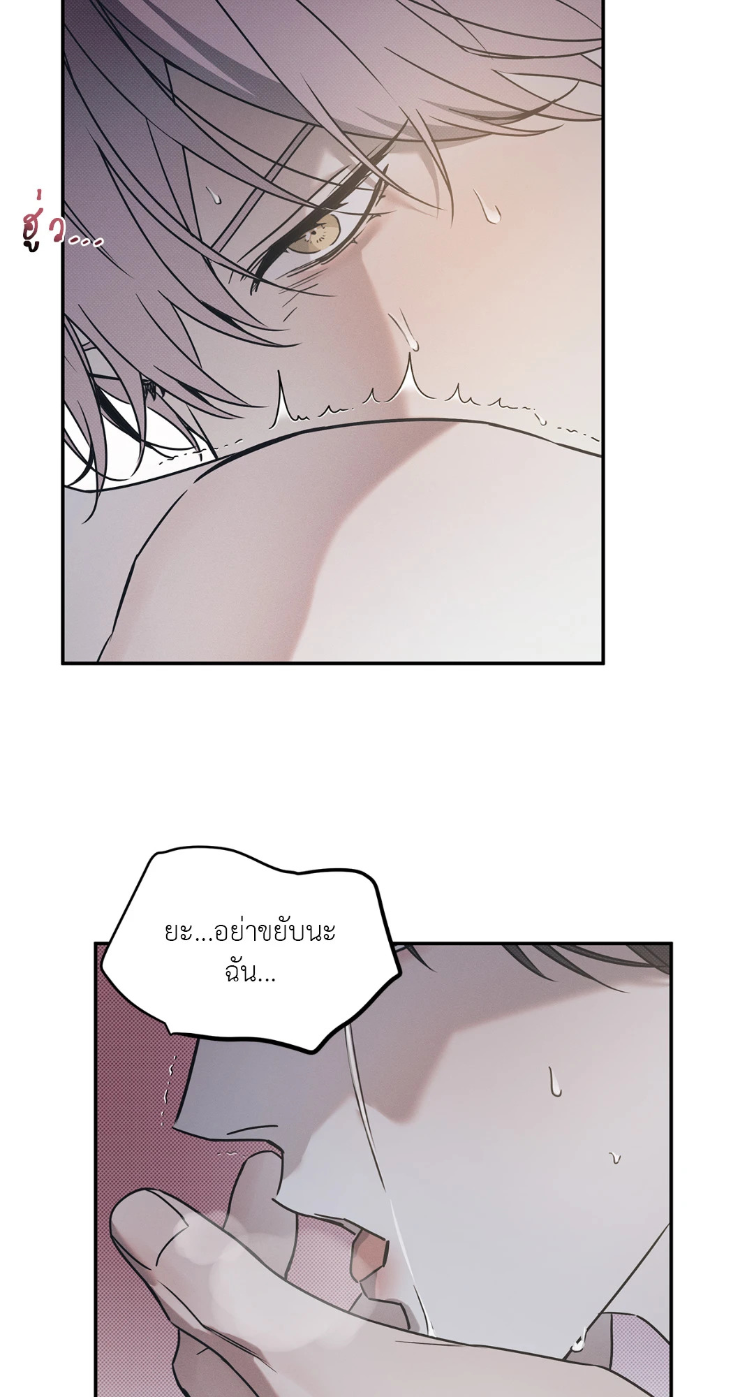 หน้า 50