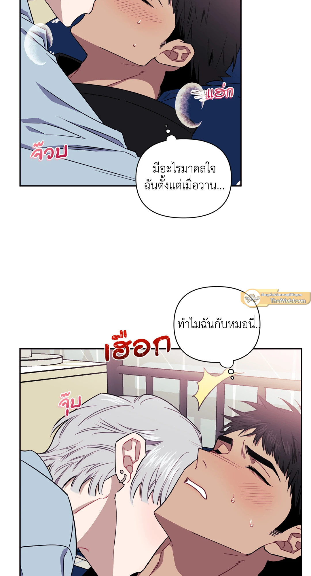 หน้า 29