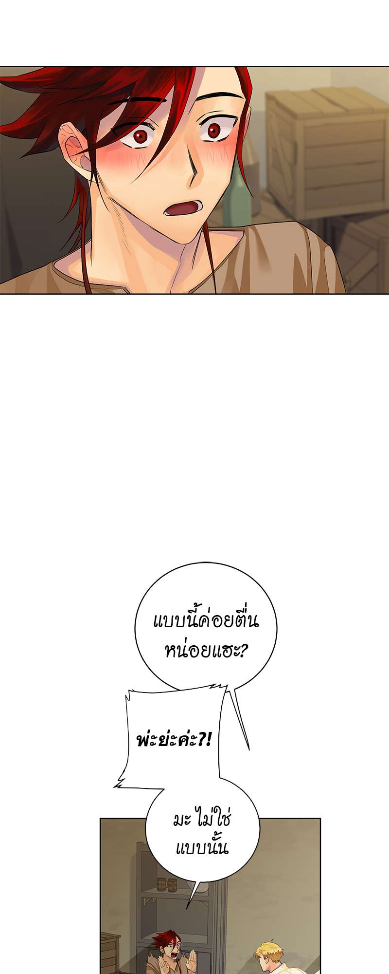 หน้า 29