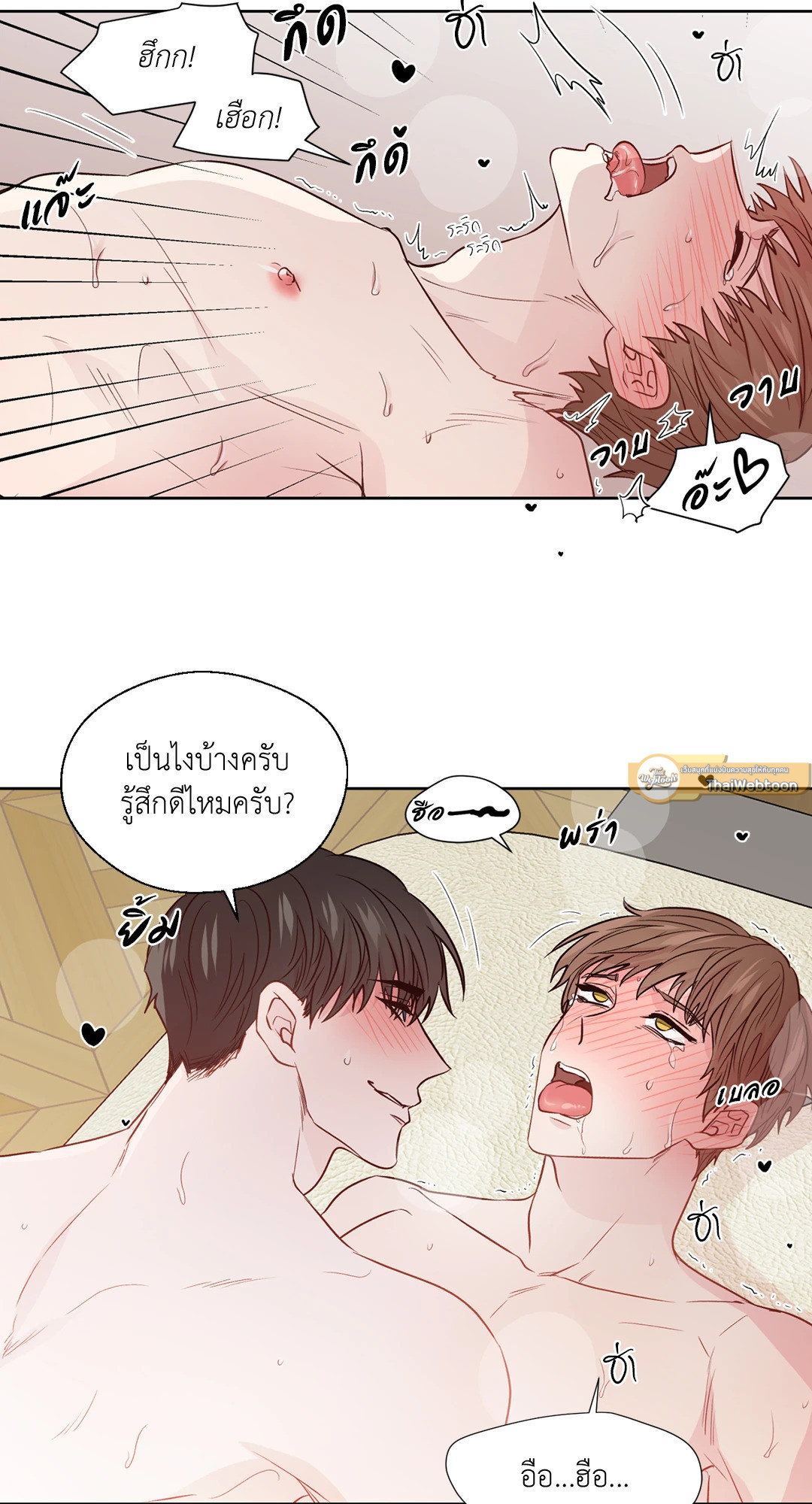 หน้า 29