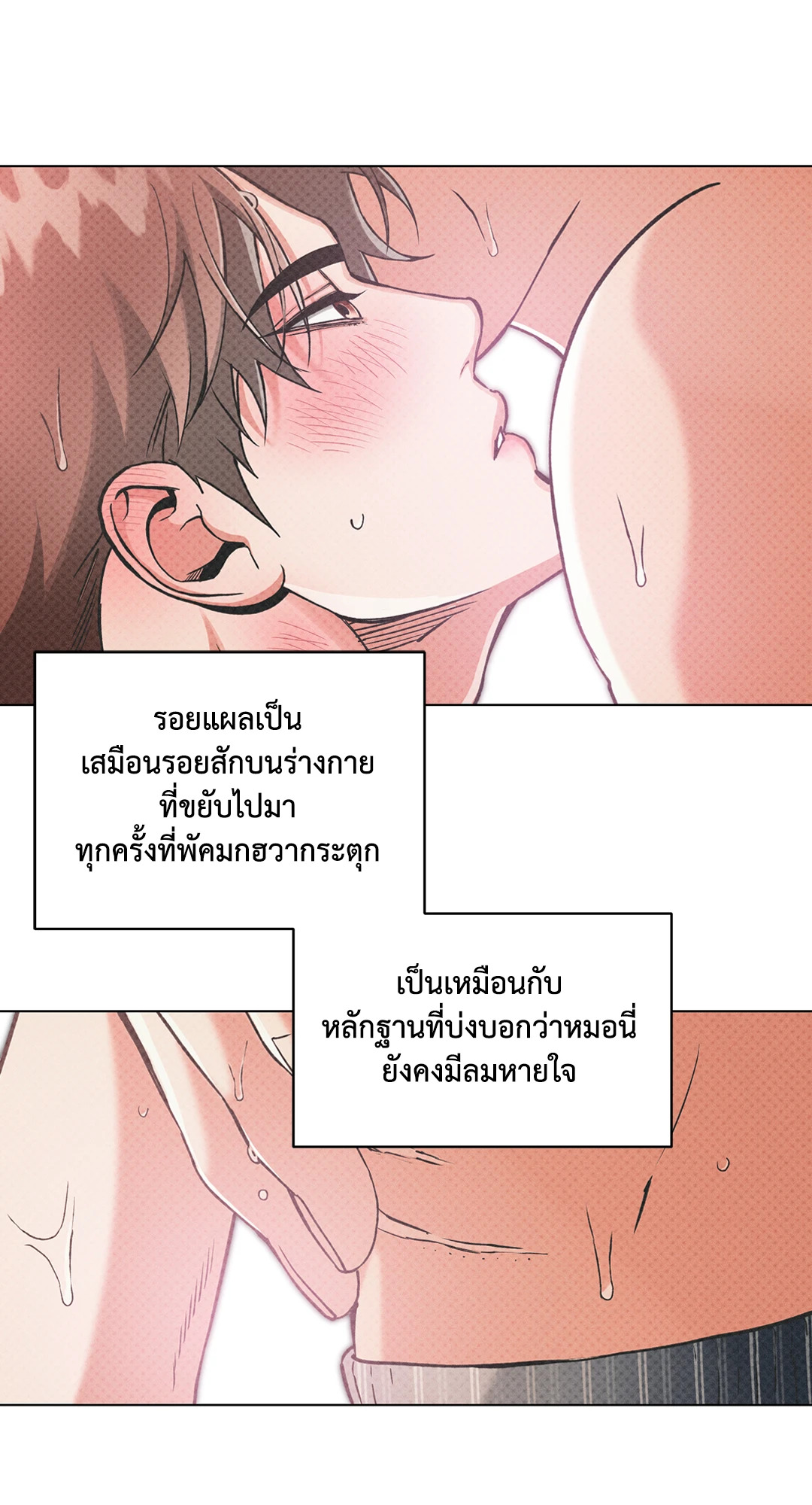 หน้า 29