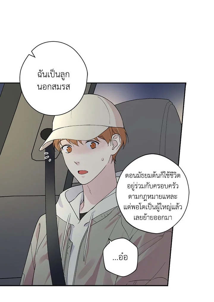 หน้า 41
