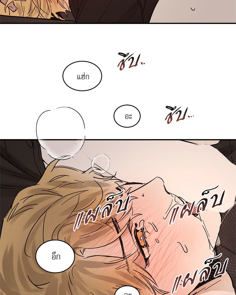 หน้า 41