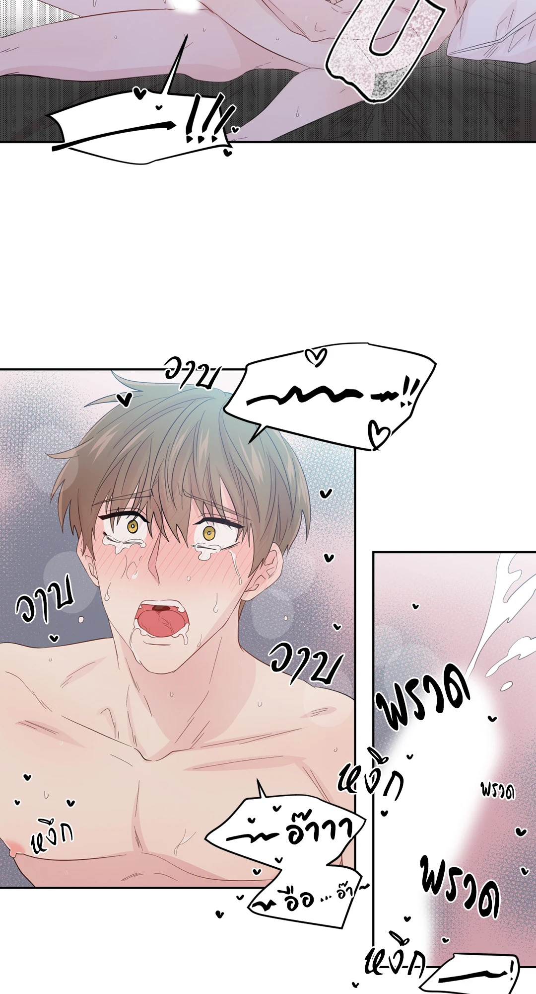 หน้า 41