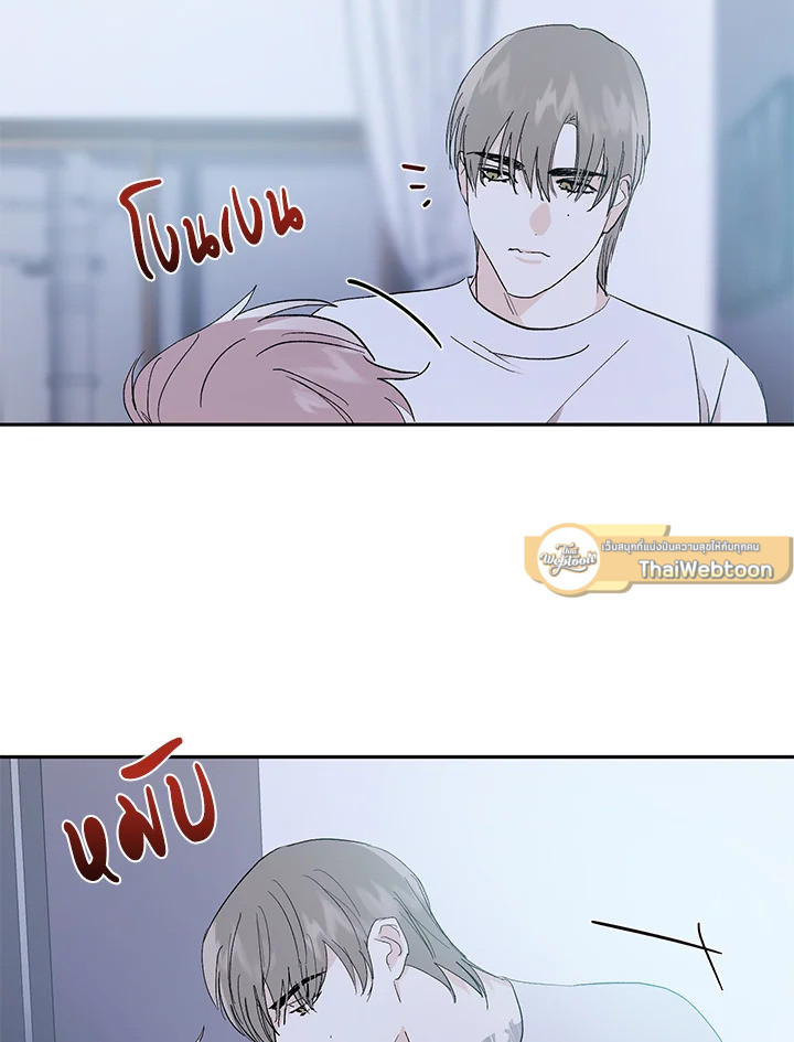 หน้า 43