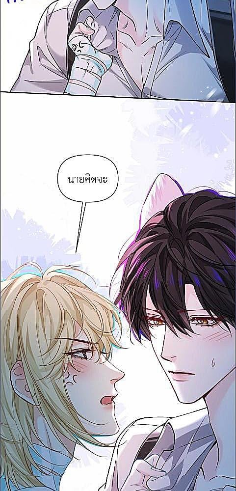 หน้า 29