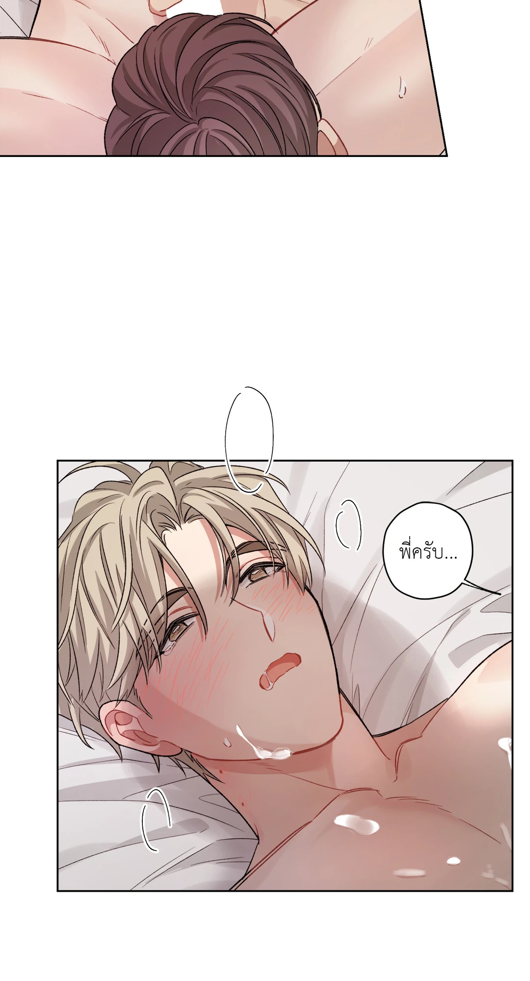 หน้า 31