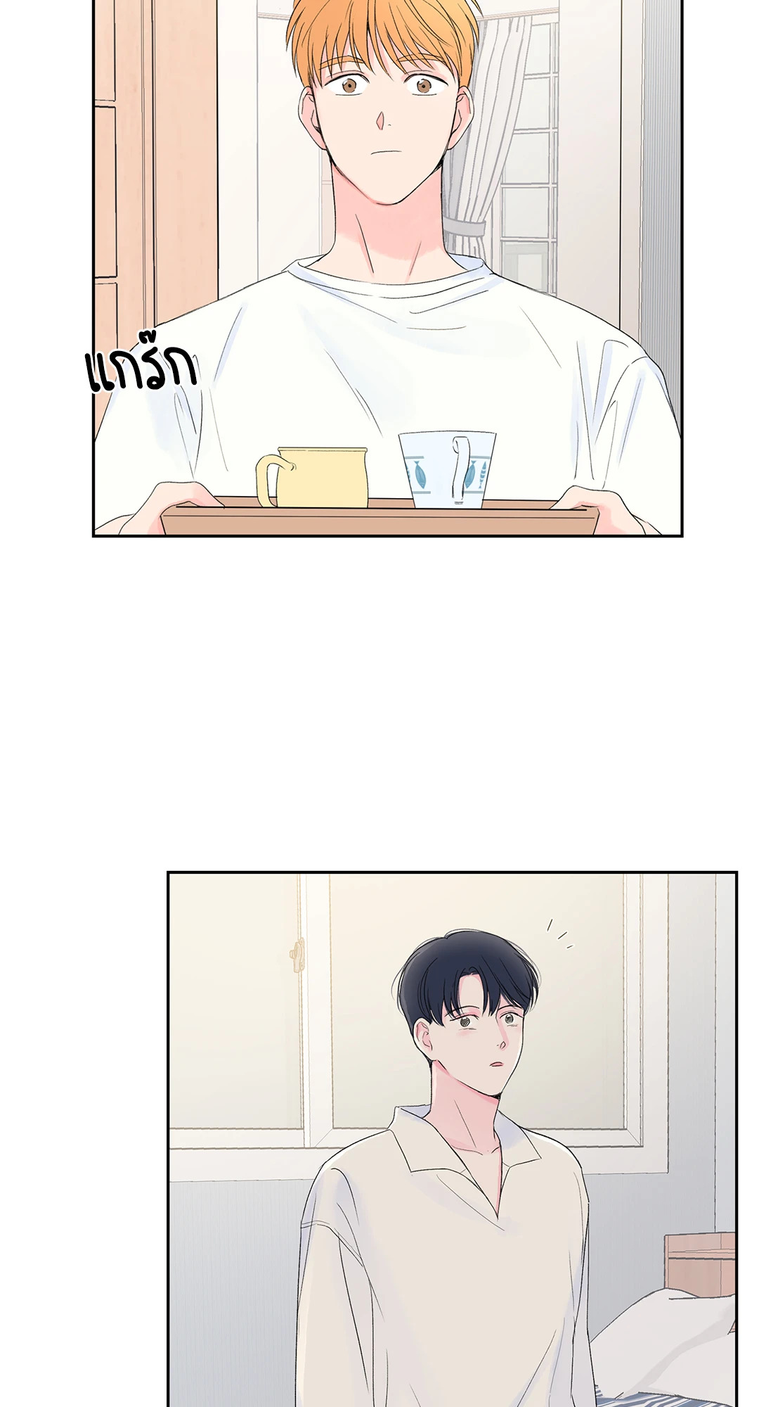 หน้า 43