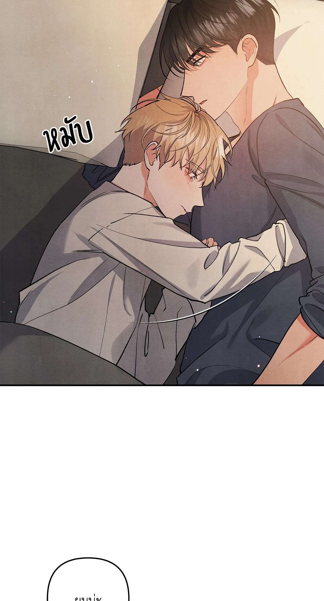 หน้า 43