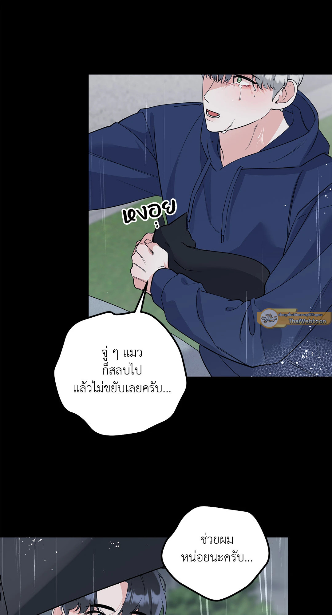 หน้า 30
