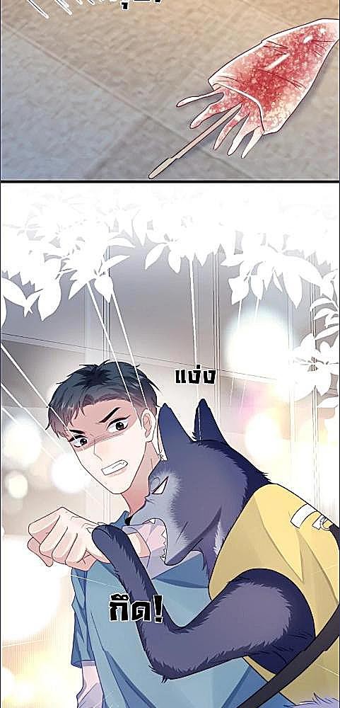 หน้า 30