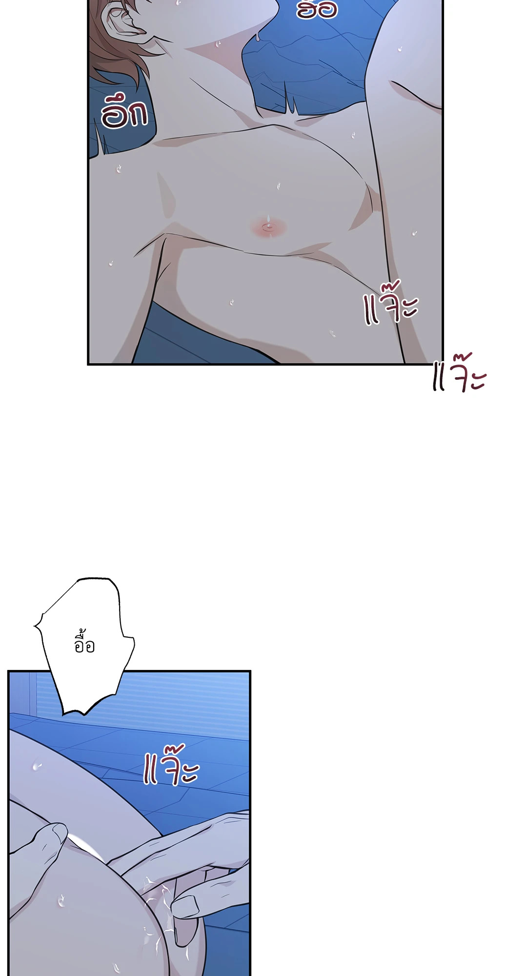 หน้า 51