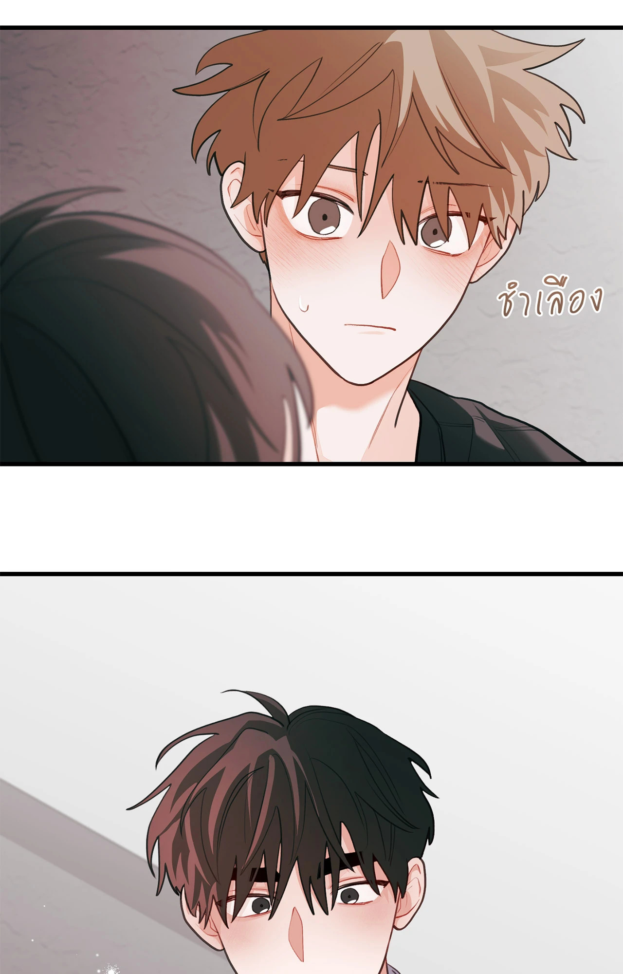 หน้า 55