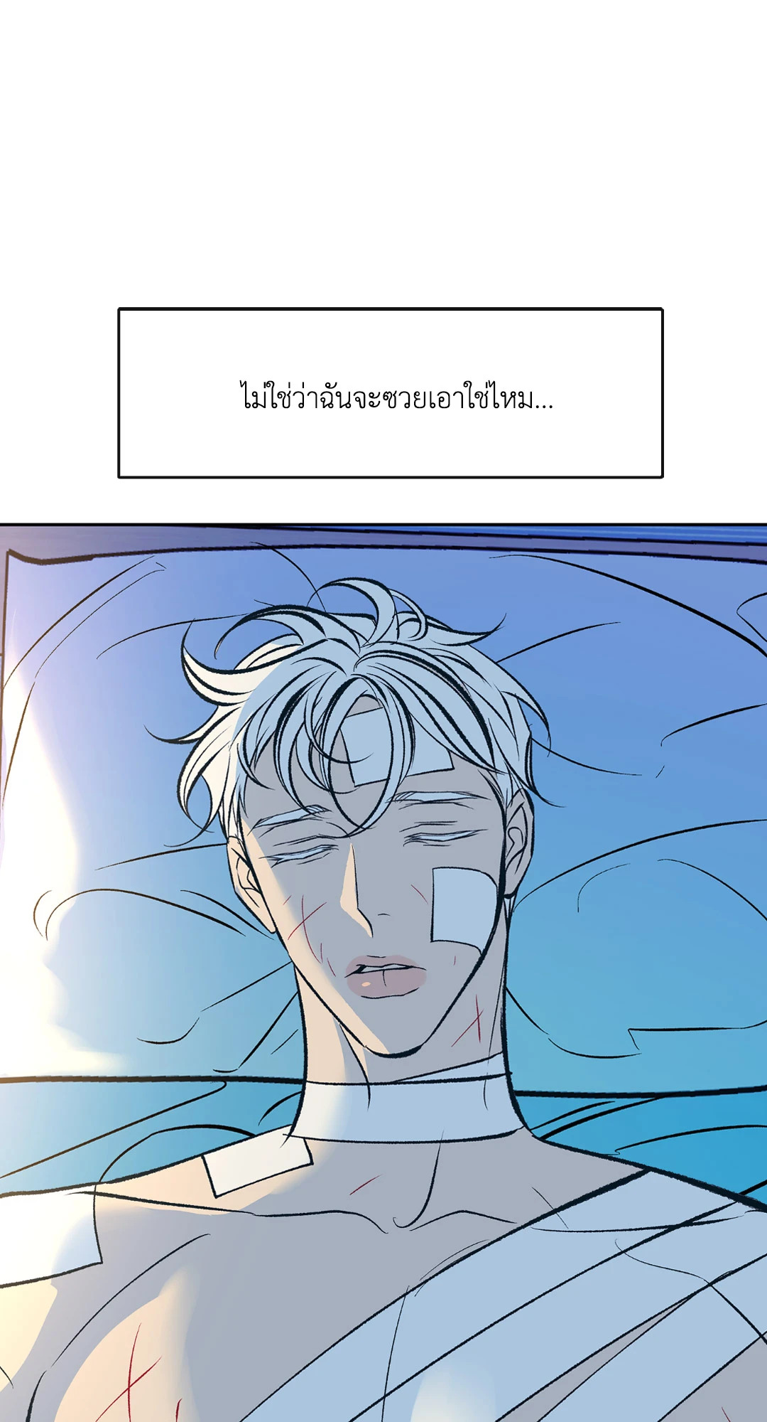 หน้า 43