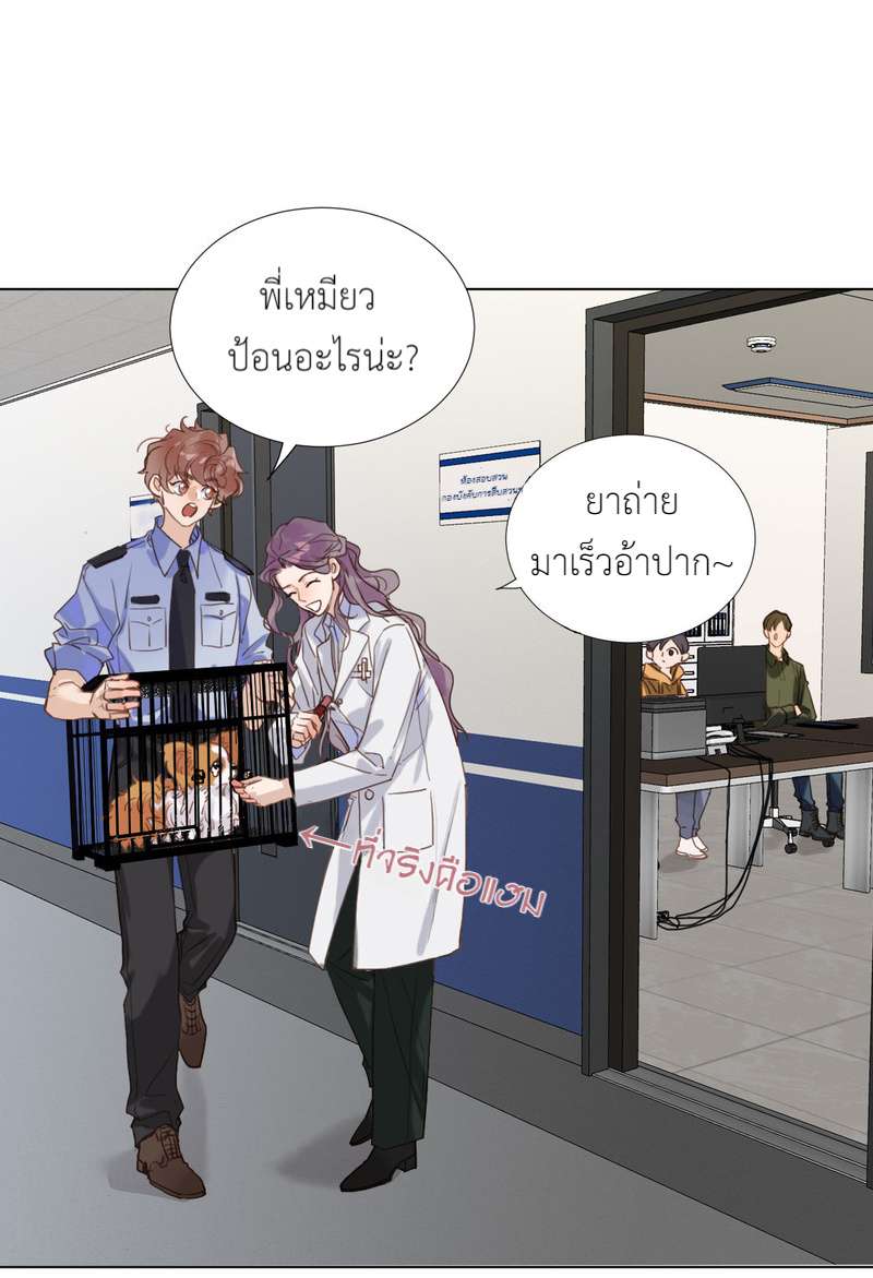 หน้า 41