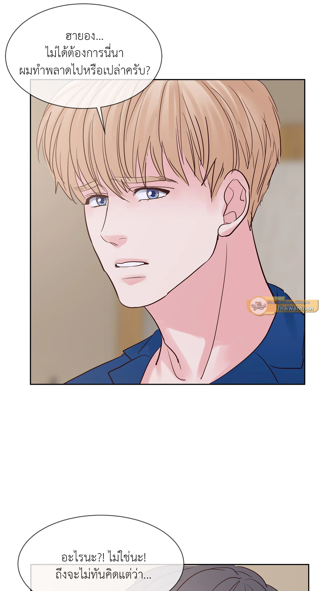 หน้า 43