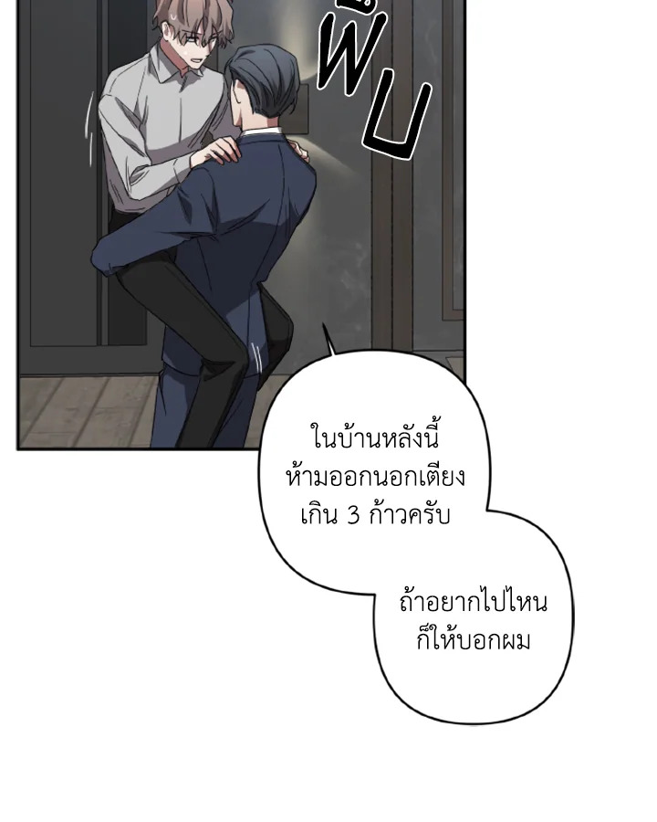 หน้า 41