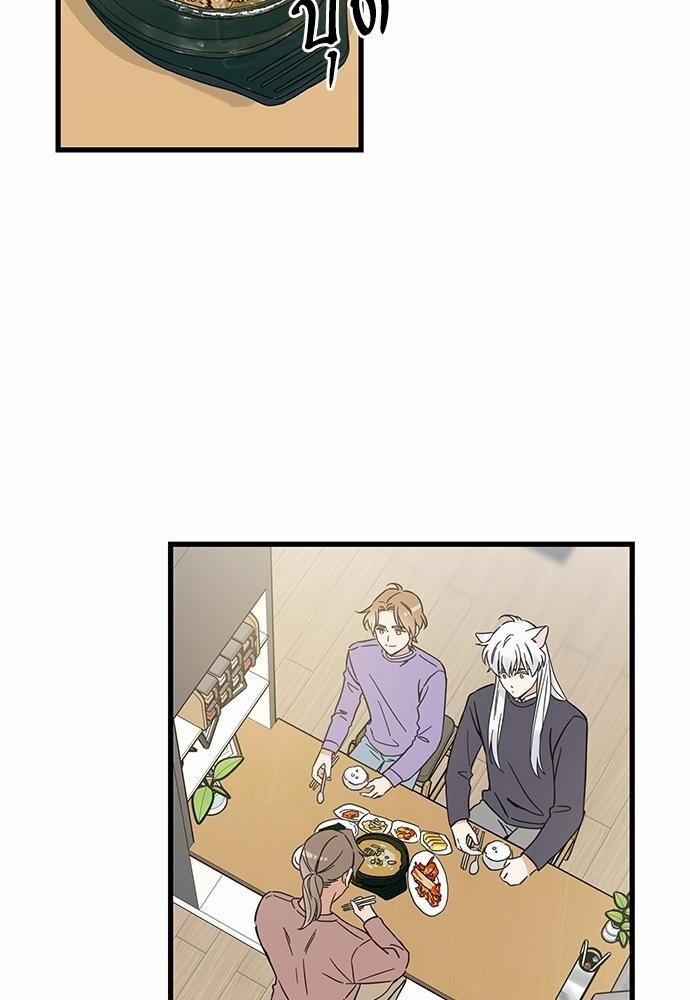 มารักกับเหมียวมั้ยครับ | My One and Only Cat ตอนที่ 47 - รูปที่ 2