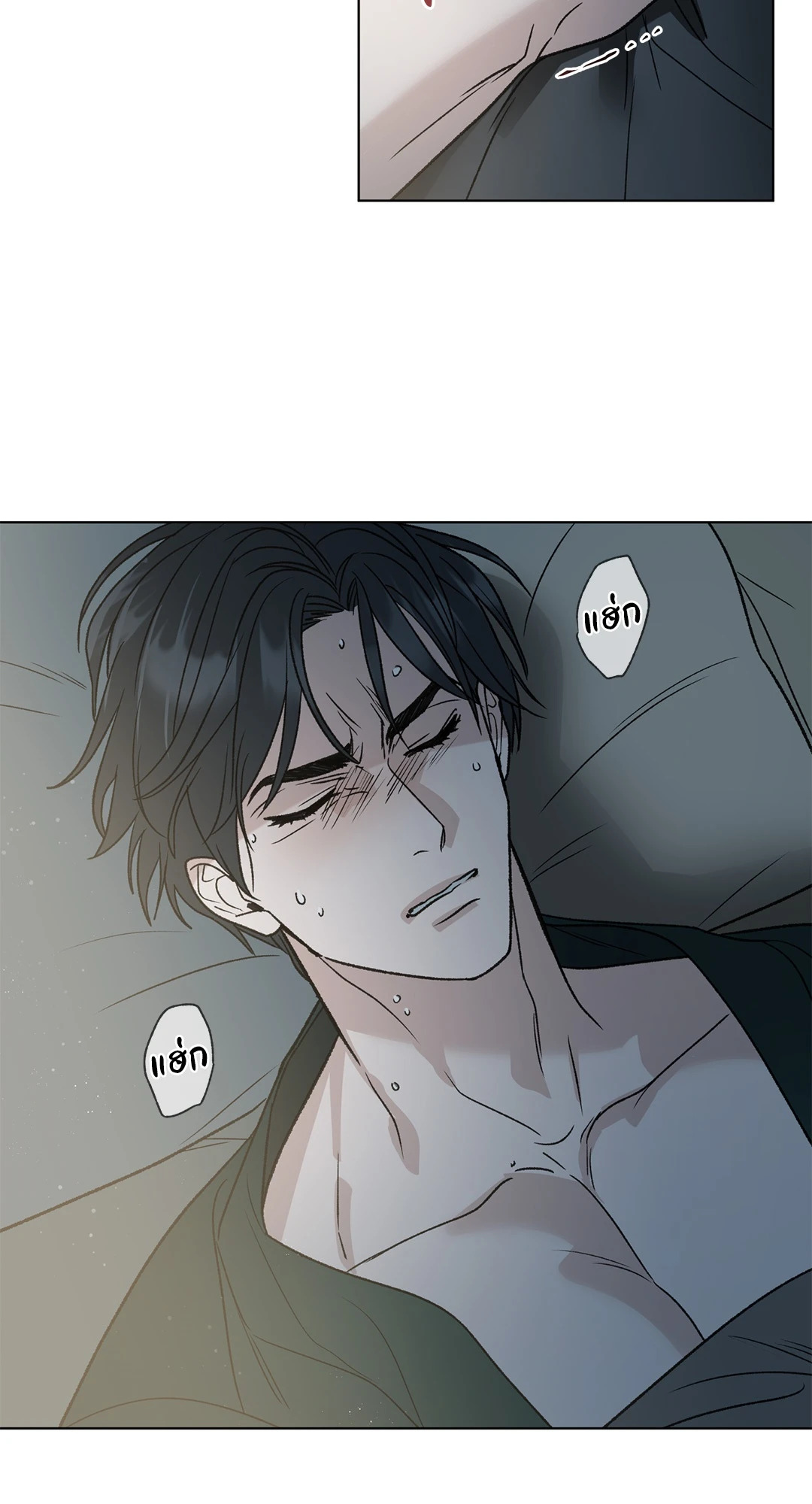 หน้า 29
