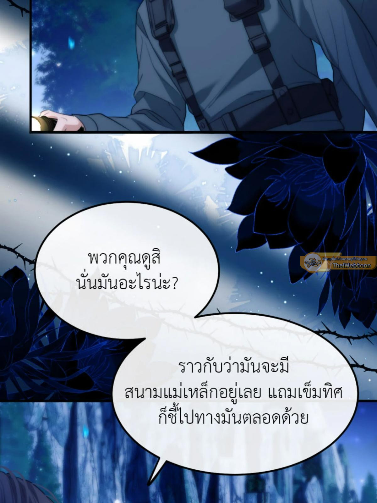 หน้า 43