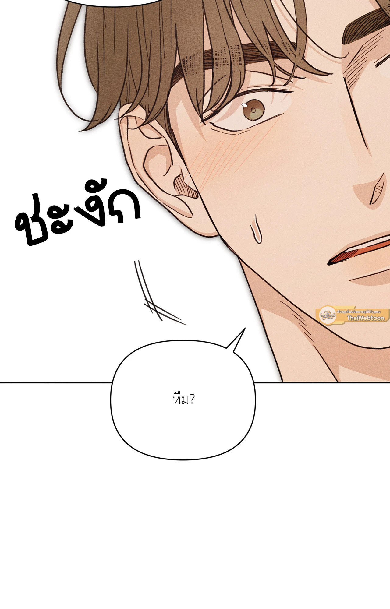 หน้า 100