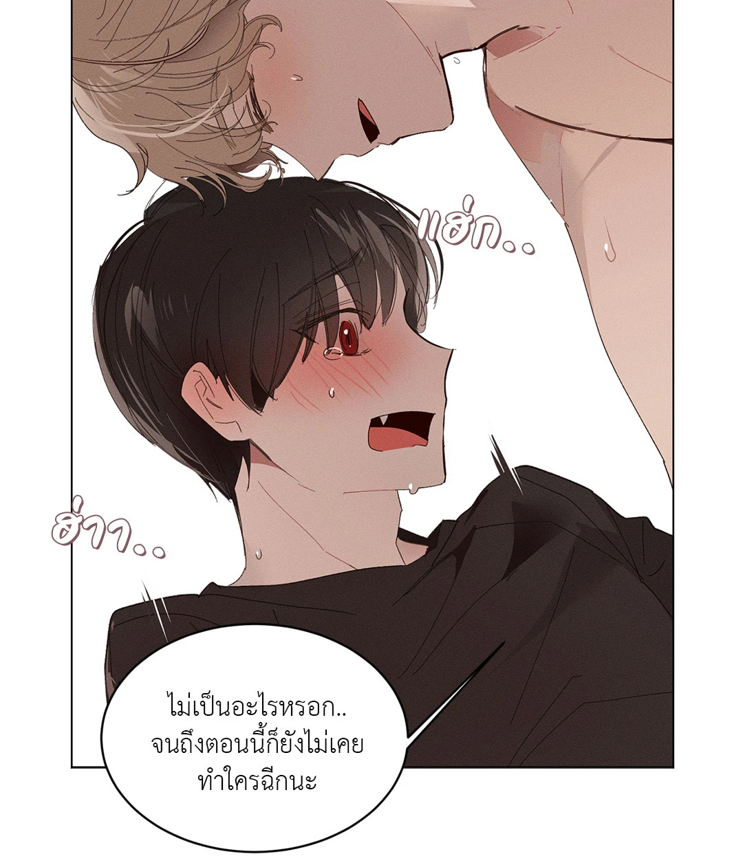 หน้า 48