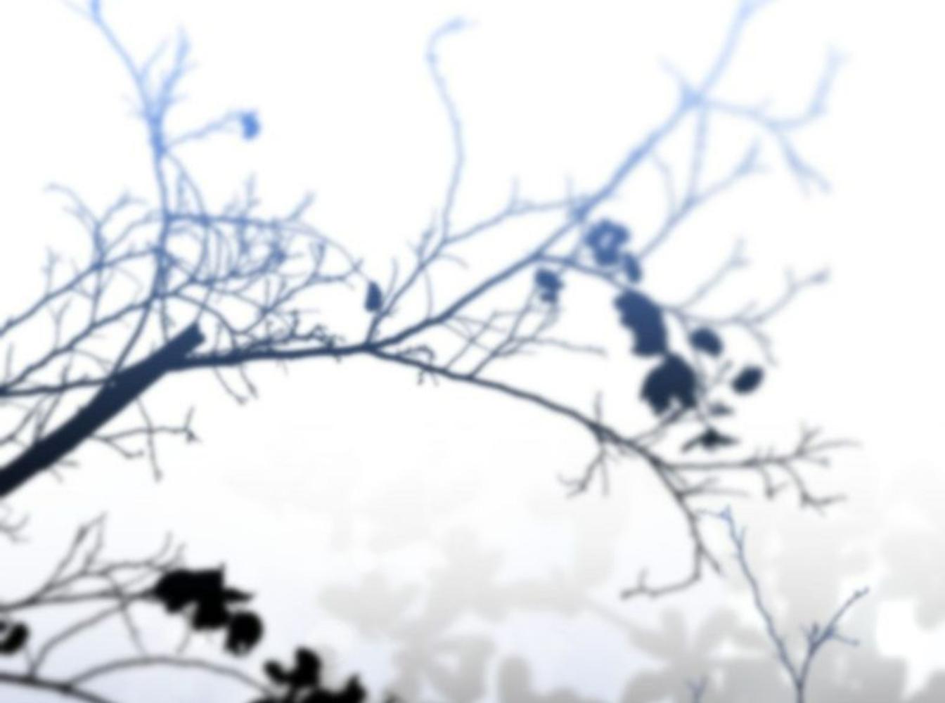 เกิดใหม่เป็นบุตรชายอัจฉริยะแห่งตระกูลจอมเวทมืด | I Became the Genius Bastard of a Noble Dark Clan ตอนที่ 2 - รูปที่ 2