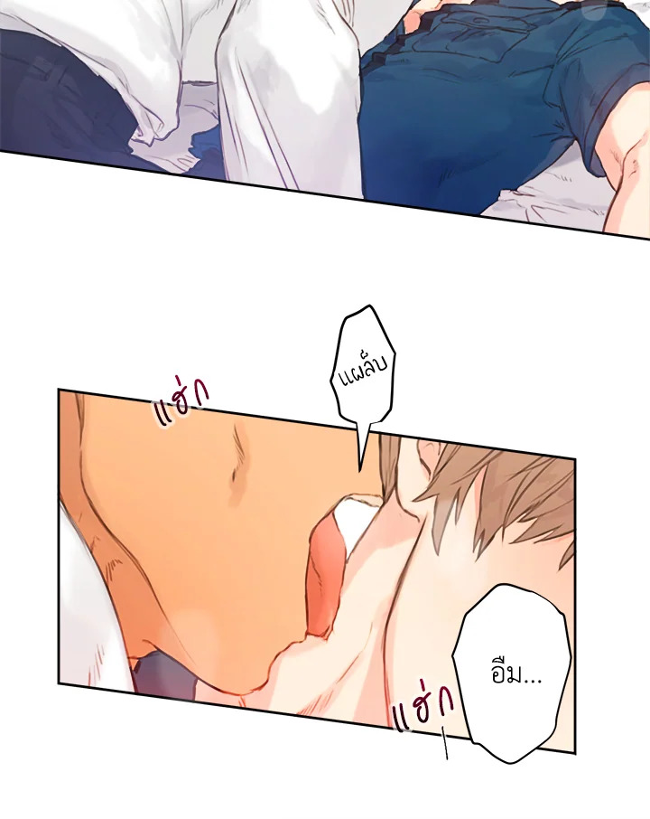หน้า 41