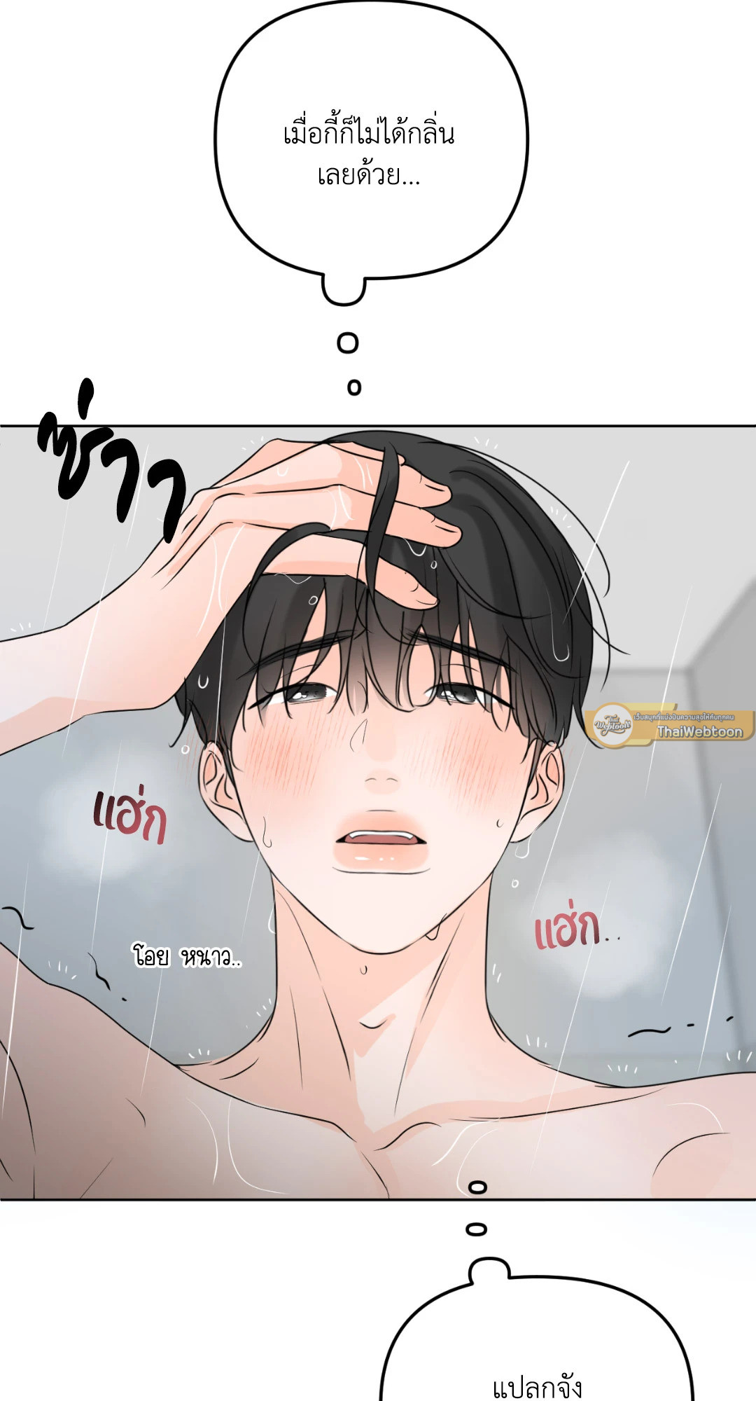 หน้า 29