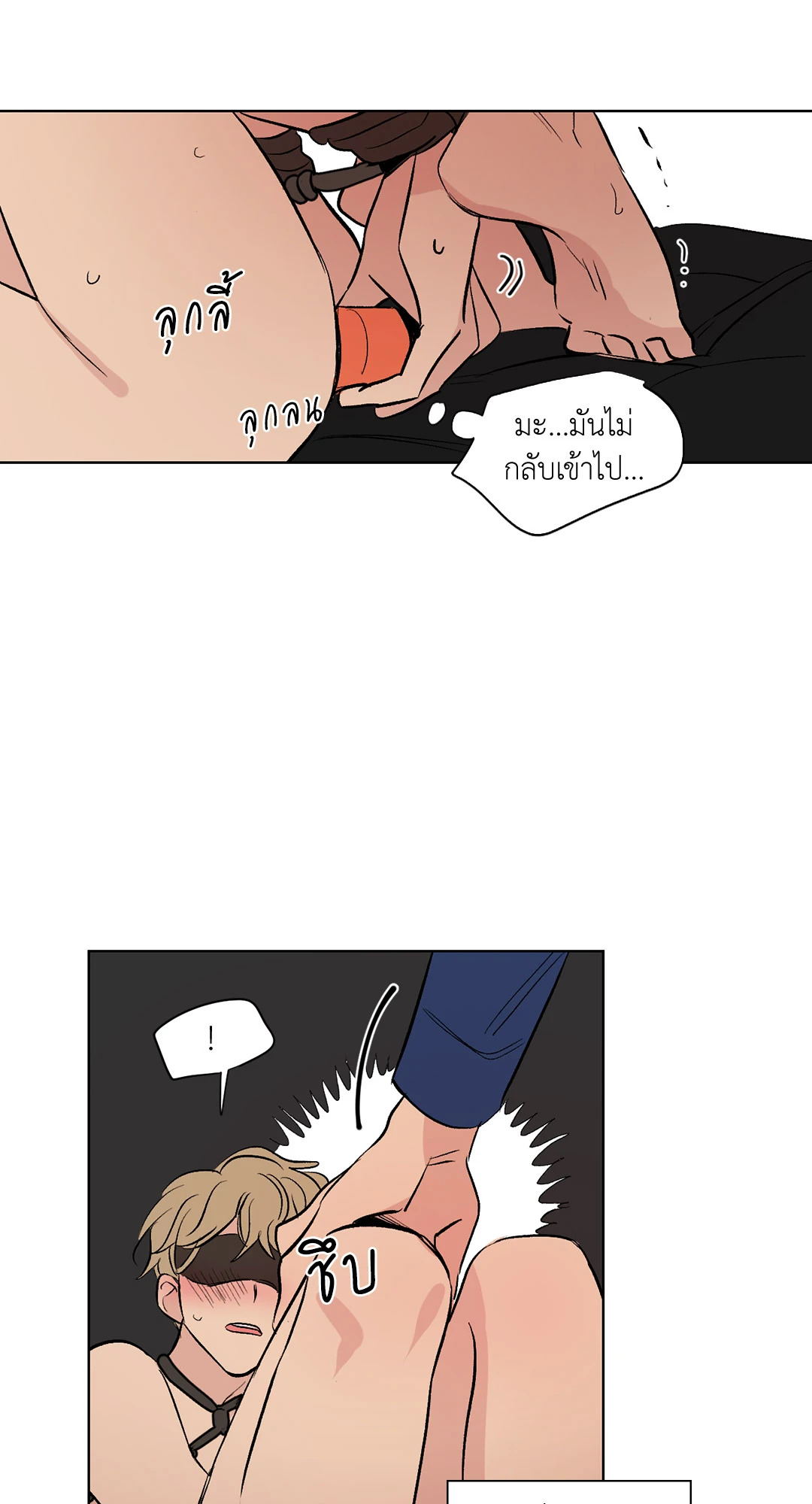 หน้า 41
