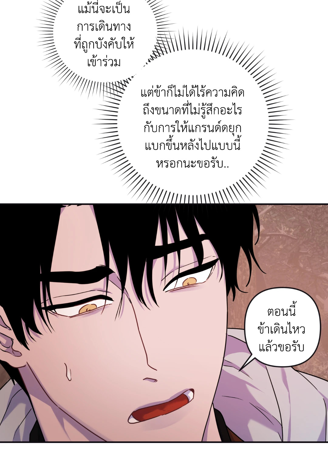 หน้า 49