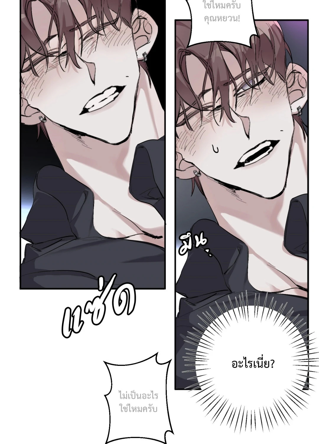 หน้า 43