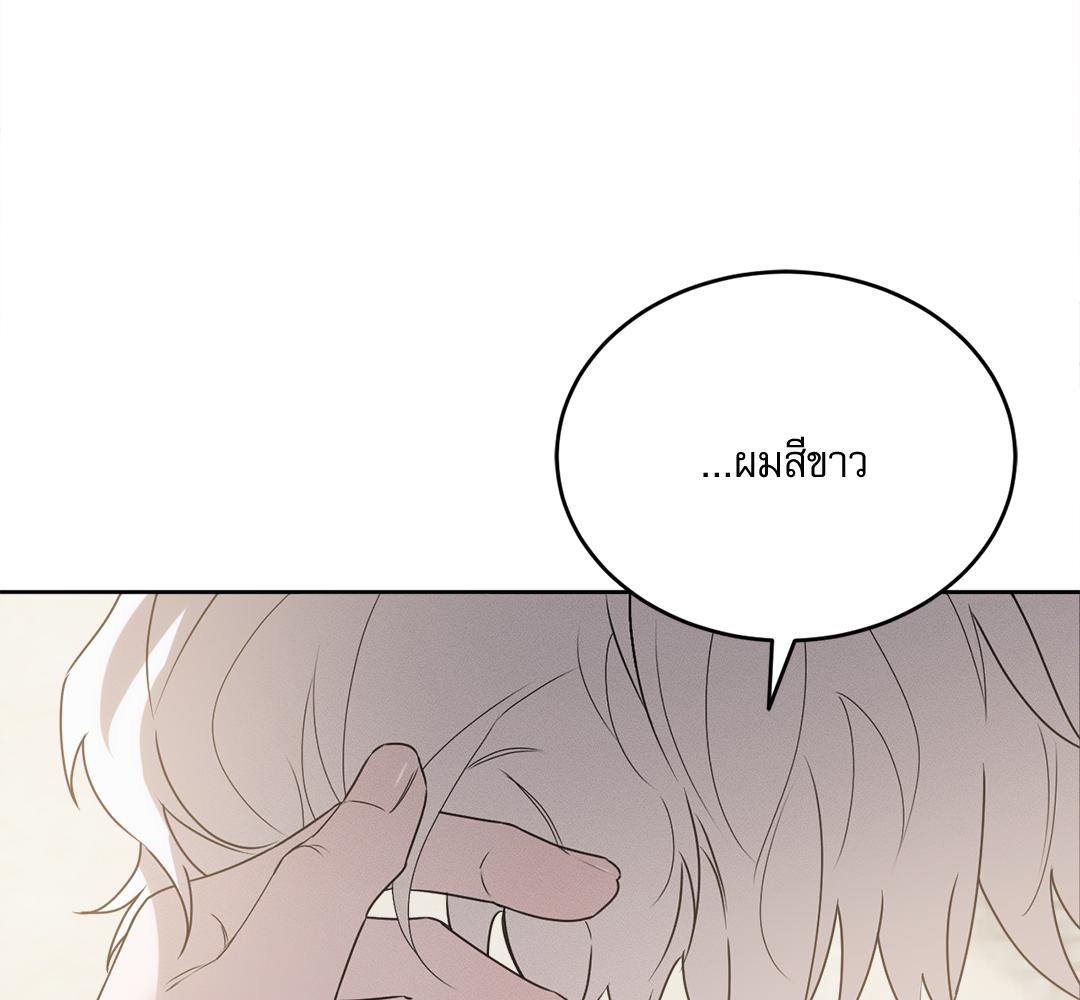 หน้า 146